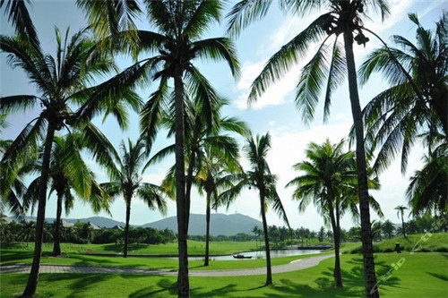 姐夫家的小火锅