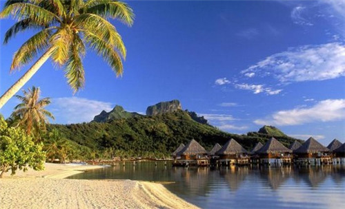 雏鹰乒乓球培训