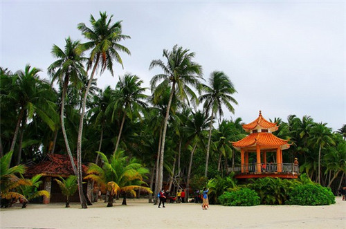 冷水壶哪个品牌值得买