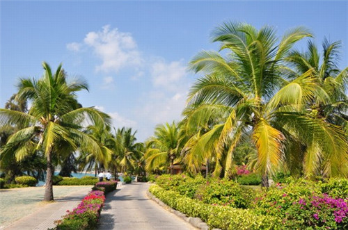 小型餐饮怎么设计好