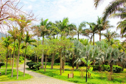 夫妻店创业记录怎么写，夫妻创业文案