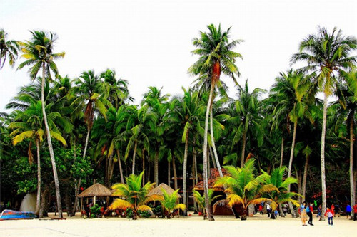 在名山县可以开多少家豪功夫烧烤加盟店