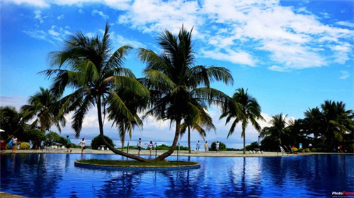 加盟老杨锅鸡架如何提高店铺利润，投资中式快餐加盟店一年能赚多少钱