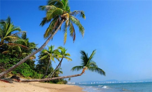 大学生创业计划书蛋糕店的团队介绍，蛋糕店创业成员介绍词怎么说