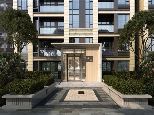 维斯是什么意思（活人维斯是什么意思）