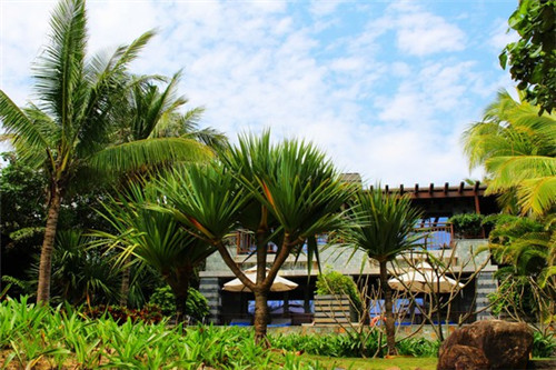 问道手游宠物喂养是什么（问道手游宠物喂养等级上限）