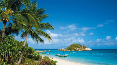 2025衣帽架加盟店受欢迎项目有哪些（精品衣帽架安装方法）