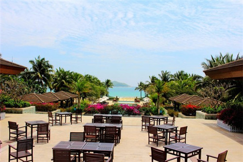 适合小县城开的鹿鞭膏加盟店有哪些（鹿鞭膏专卖店）