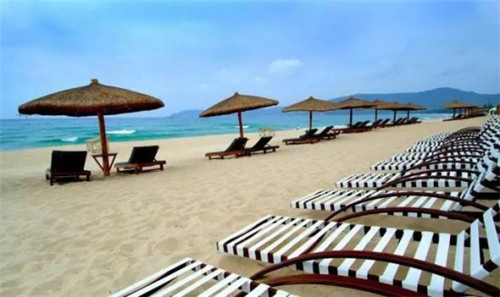 猫咪怎么玩小游戏的（小猫怎样玩）